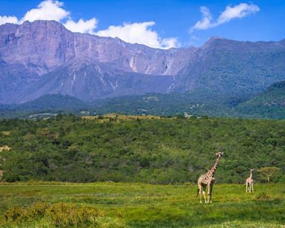 mt meru_1 ultimate Mt Meru trekking adventure